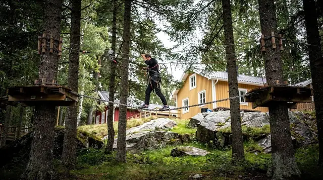 Climbing adventure parks
