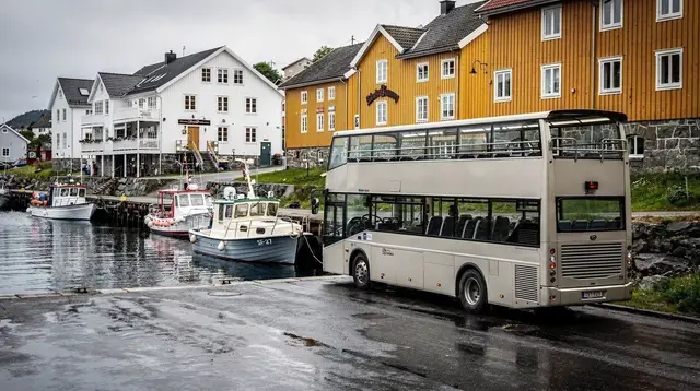 Sightseeing bus tours