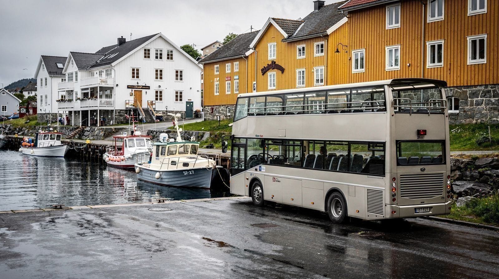 Sightseeing bus tours