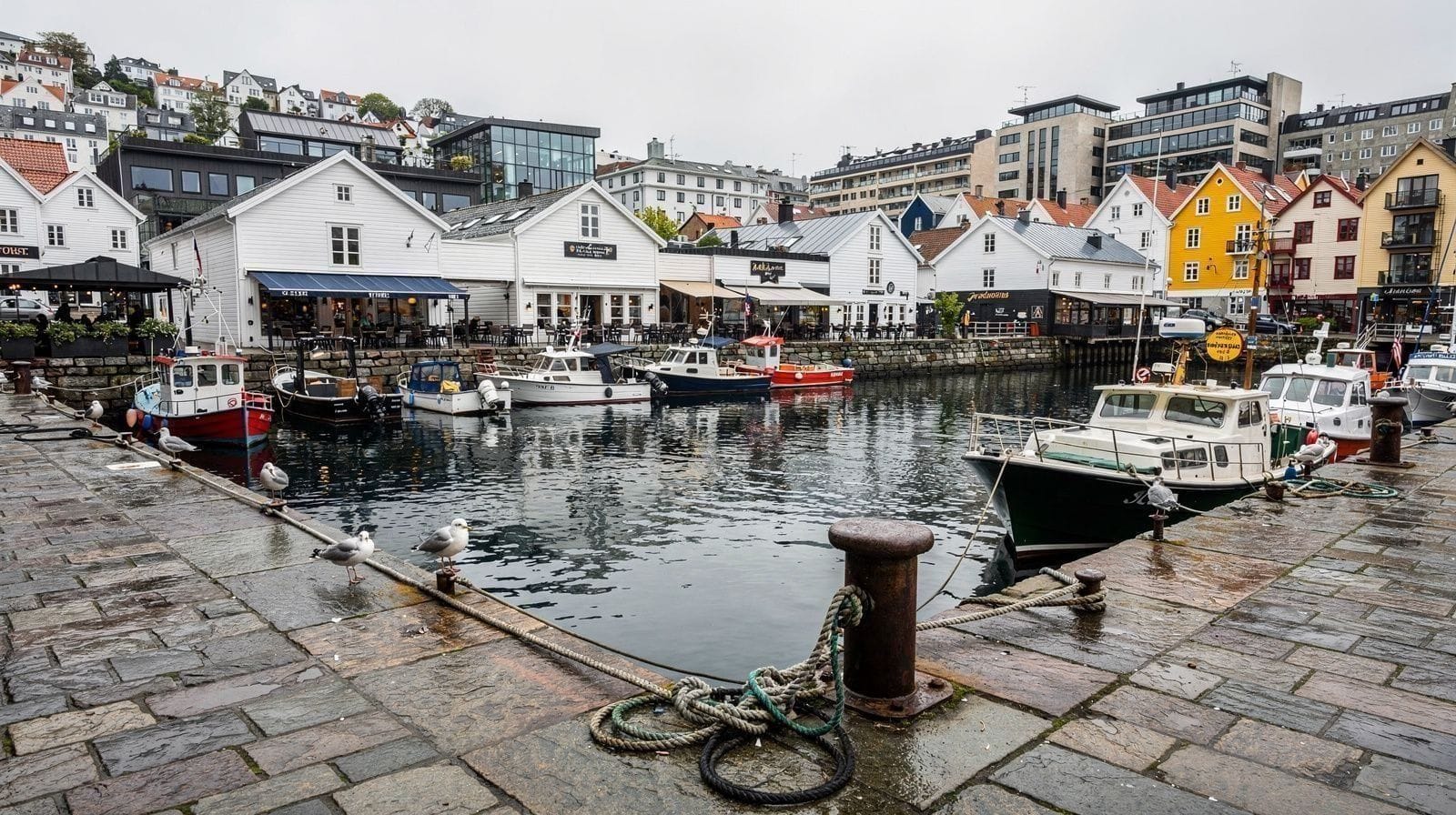 Vågen Havn & de Vismarkt van Stavanger