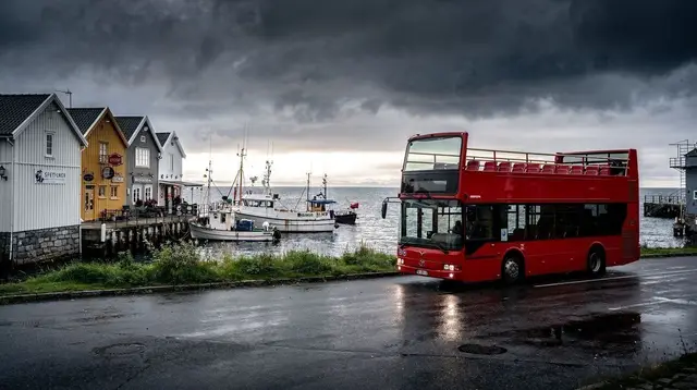 Bus Tour or Walking Tour in Stavanger: How to Choose